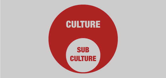 Can’t Change Your Company’s Culture? Create a Leadership Subculture Instead