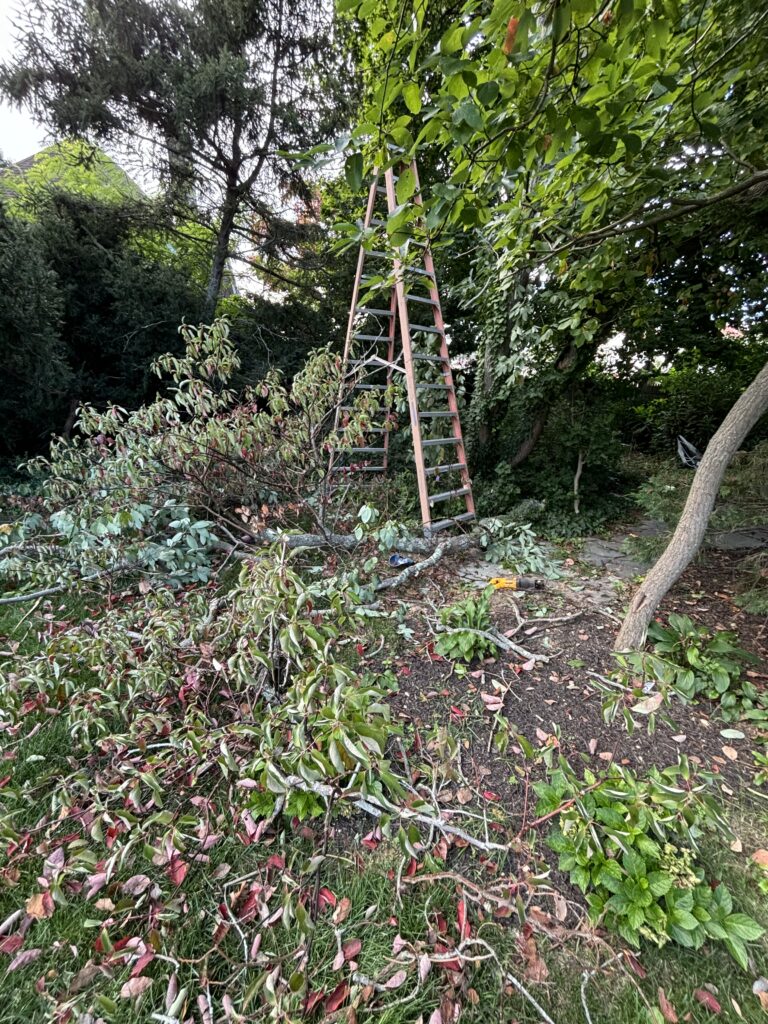 7 Leadership Lessons Learned From a 20 Foot Ladder Fall | Keith Rosen