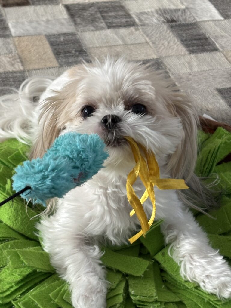 Mac